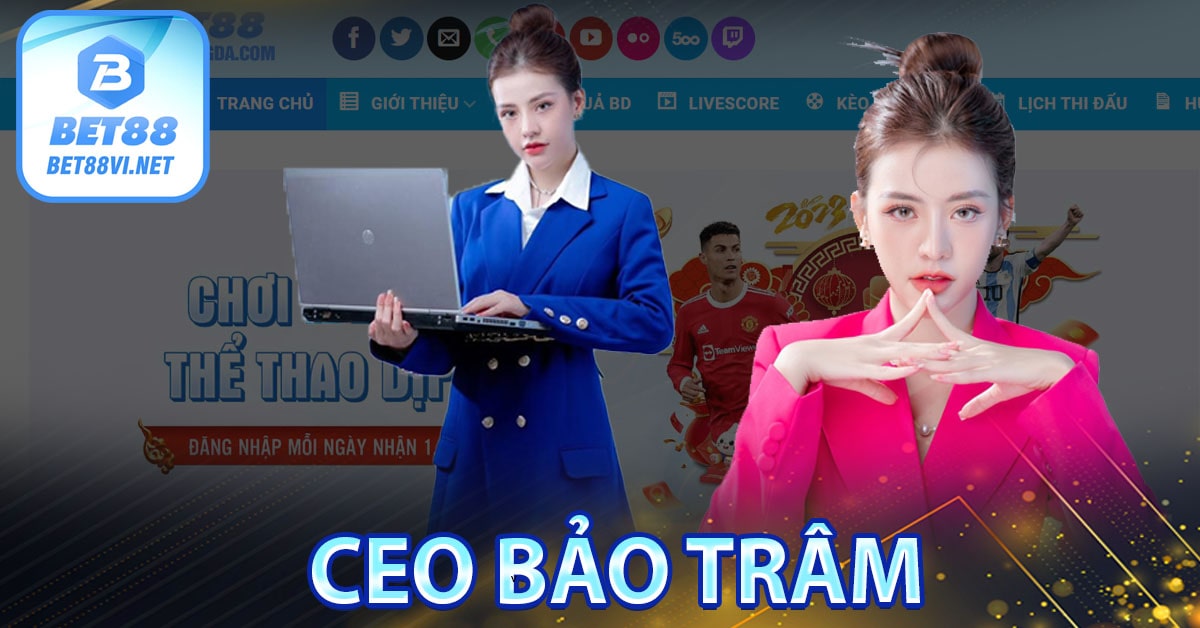 Tiểu sử của CEO Bảo Trâm