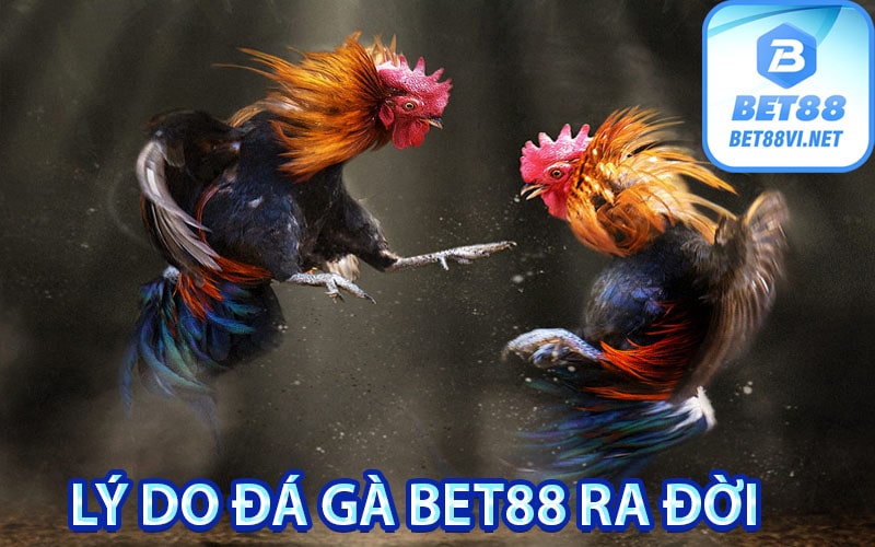 lý do đá gà bet88 ra đời